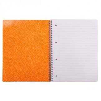PUKKA PAD τετράδιο σπιράλ Α4 80Φ Bloom